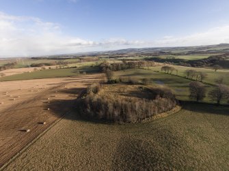 Oblique aerial view of Long Faugh fort looking E.