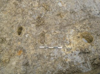 Pits 1, 6, 8 and 9, photograph from archaeological watching brief at Southfield Farm, Dalkeith