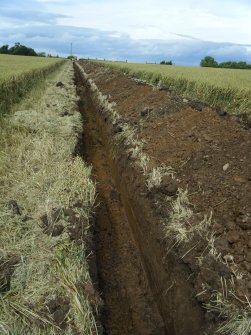 Final 250m of the cable trench facing west, photograph from archaeological watching brief at Southfield Farm, Dalkeith