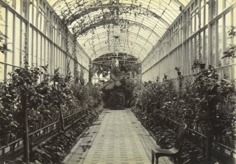 Interior view of conservatory, Peebles Hydro
