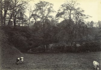 General view of grounds, The Peel, Busby

