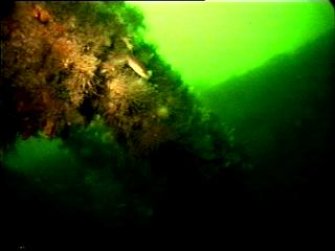 Diver photograph of Greenock structural remains