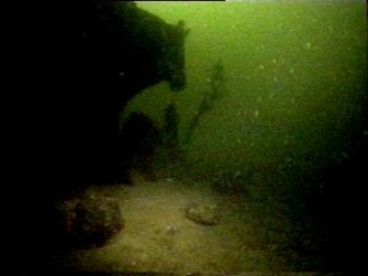 Diver photograph of Margeret Niven steamship port quarter rudder and screw