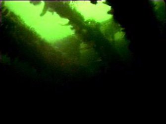 Diver photograph of structural remains of the Greenock