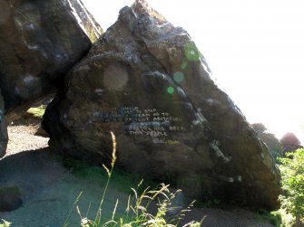 View of 'Pongo' boulder from north-east.