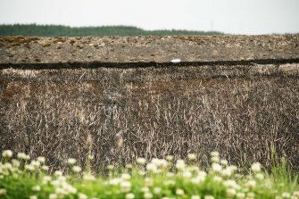 Detail of thatching and ridge on 18th century bothy; Nether Tullicro, Dull.