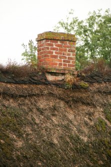 View of chimney stack with  vegetation growth on thatch and turf ridge; former schoolhouse, Cottown.