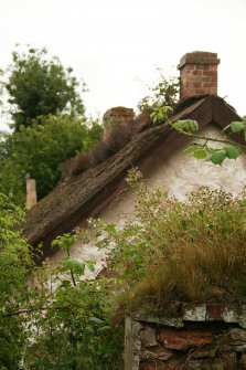 View of gable end with  vegetation growth; former schoolhouse, Cottown.