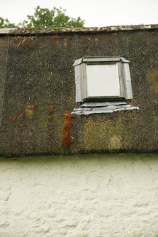 Detail of thatched roof and ridge; West End Cottages, Rait.