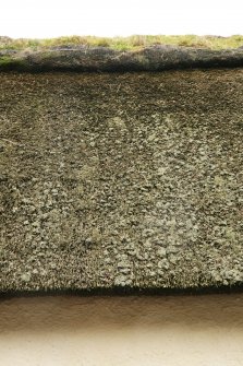 Detailed view of thatch and ridge; Myrtle Cottage, Town Yetholm.