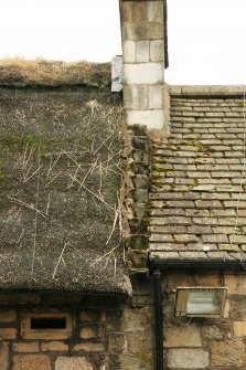 View of adjoining roofs showing poor condition of thatch;  Moncrief House, High Street, Falkland.