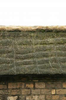 Detail of netted thatch and possible turf ridge;  Moncrief House, High Street, Falkland.