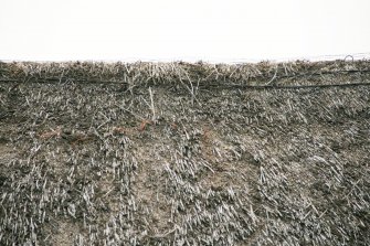 View of thatching and ridge to show some deterioration; Totscore, Skye.