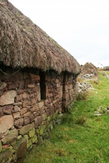 Detail of thatched roof on ruined cottage; Applecross.