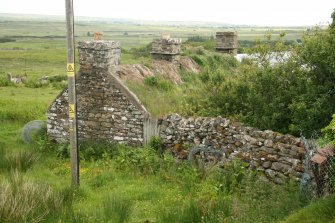 View of ruinous 19th century croft complex with some remaining heavily overgrown thatch; the Corr Farmstead.