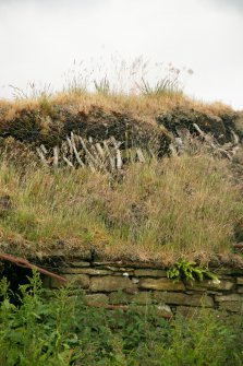 Detail of heavily overgrown thatch with exposed roof timbers; the Corr Farmstead.