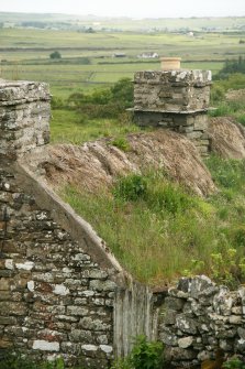 View of chimneys and overgrown thatched ridge; the Corr Farmstead.