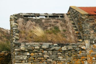 View of roof pitch from N. showing remains of thatch ; Ruisgarry, Baile.