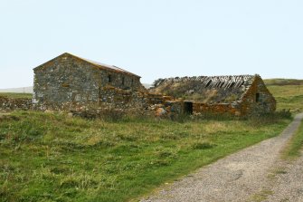 Distant view of ruinous Byre; Ruisgarry, Baile.