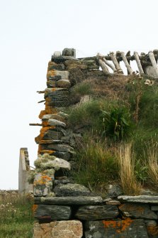 Detail of vegetaion growth on roof of 18th century byre; Ruisgarry, Baile.