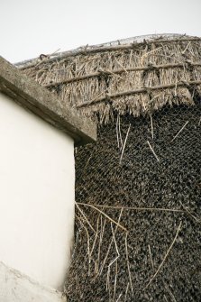 Detail of ridge and netted thatch; 10 Uachhdar, Benbecula.