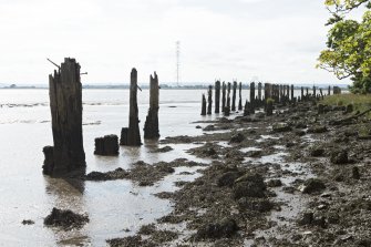 Remains of timber wharf or quay piling, view from north. The timber quayside deck onto which cargo to be shipped in and out would have been stored is now gone. All that remains are the eroded wooden piling structure that would have supported this wooden platform. The piling formation is still visible, with rows of wooden piles designed to give maximum compressive strength. Such wooden piles will decay naturally and so the piles we see here will probably have been replaced since the 18th century when the Kennetpans Distillery was at full production (prior to 1788).