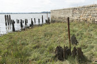 Posts with slotted heads (of iron and from an engine?) and remains of timber wharf or quay posts, view from north east