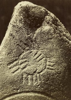 Detail of wheel ogham, Logie Elphinstone Pictish symbol stone no. 2.