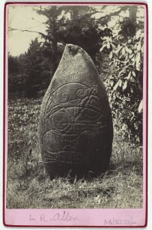 View of Logie Elphinstone Pictish symbol stone no.2.