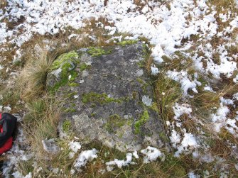 Stone 1, from the interior of the circle