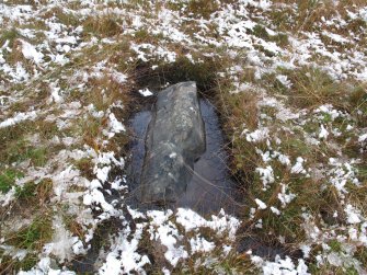 Stone 7, from the interior of the circle