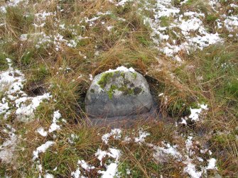 Stone 11, from the interior of the circle