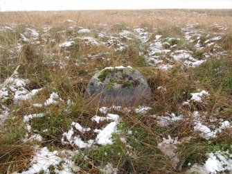 Stone 11, from the interior of the circle