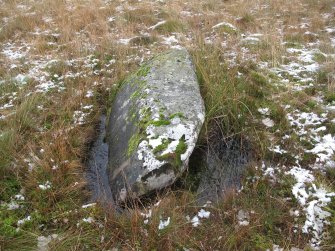 Stone 15, from the interior of the circle