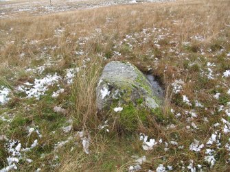 Stone 15, from the SE