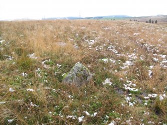 Stone 21, facing SE