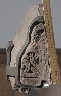 Forteviot 3 Pictish cross fragment face d (including scale)