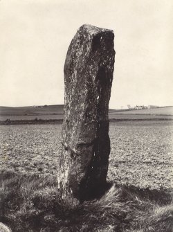 View of Auquhollie ogham inscribed stone.