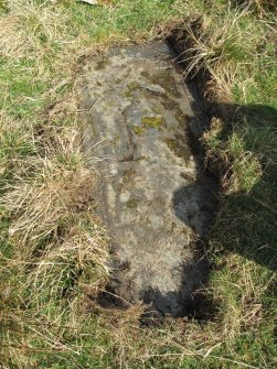 A late medieval graveslab at the NW burial mound (see SC 1518101)