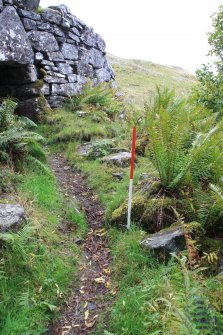 Stones leading to entrance of broch, from N