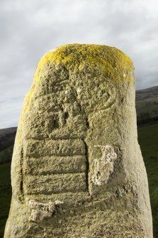 Detail of Pictish symbols