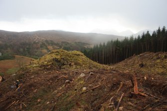 General view of the site, looking S