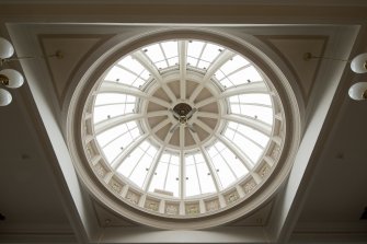 Ground floor. Collectors hall. Detail of dome.