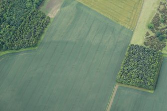 Oblique aerial view.