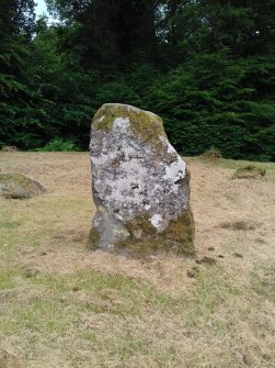 View from NE of the only remaining erect stone.