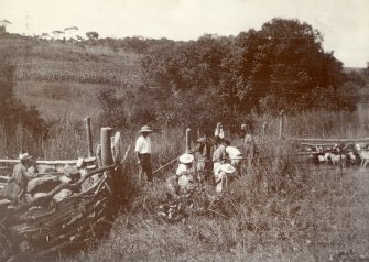 Group in landscape with sheep pens. Titled 'Dipping sheep, Glen Lorne, Rhodesia'
PHOTOGRAPH ALBUM NO.116: D M TURNBULL
