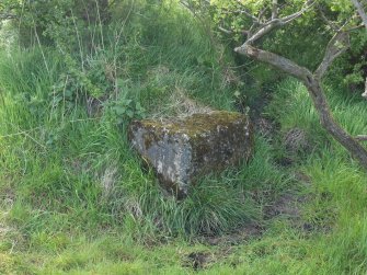 A block emerging from the foot of the scarp N of the hedgeline