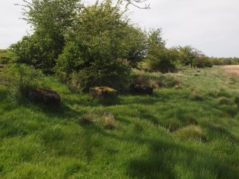 View NW from a point close to the SE end of the line of blocks