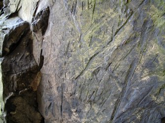 Detail view of carved graffiti on west side of B.N.I. boulder, including a thistle or dragonfly carving.