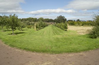 General view of garden from south.